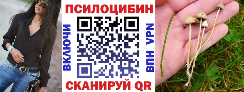Псилоцибиновые грибы мицелий  Купить где  Якутск 